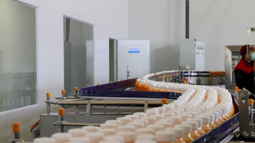 千企競“質”，向“新”而行 小沙棘如何為鄉村振興注入強勁動能